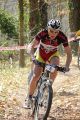 IMG_0715 (Copier).JPG